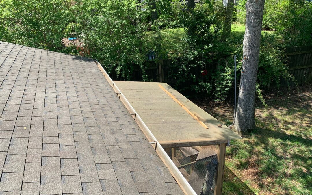 Why Pine Needles Are One of the Biggest Problems for Gutters in Hampton Roads